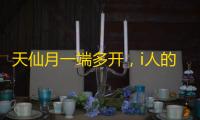 天仙月一端多开
，i人的福音